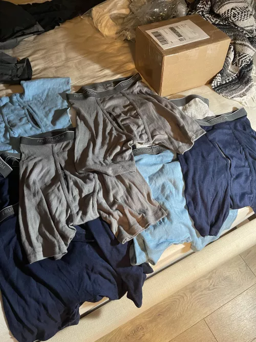 order from me boxer fetish pigs 