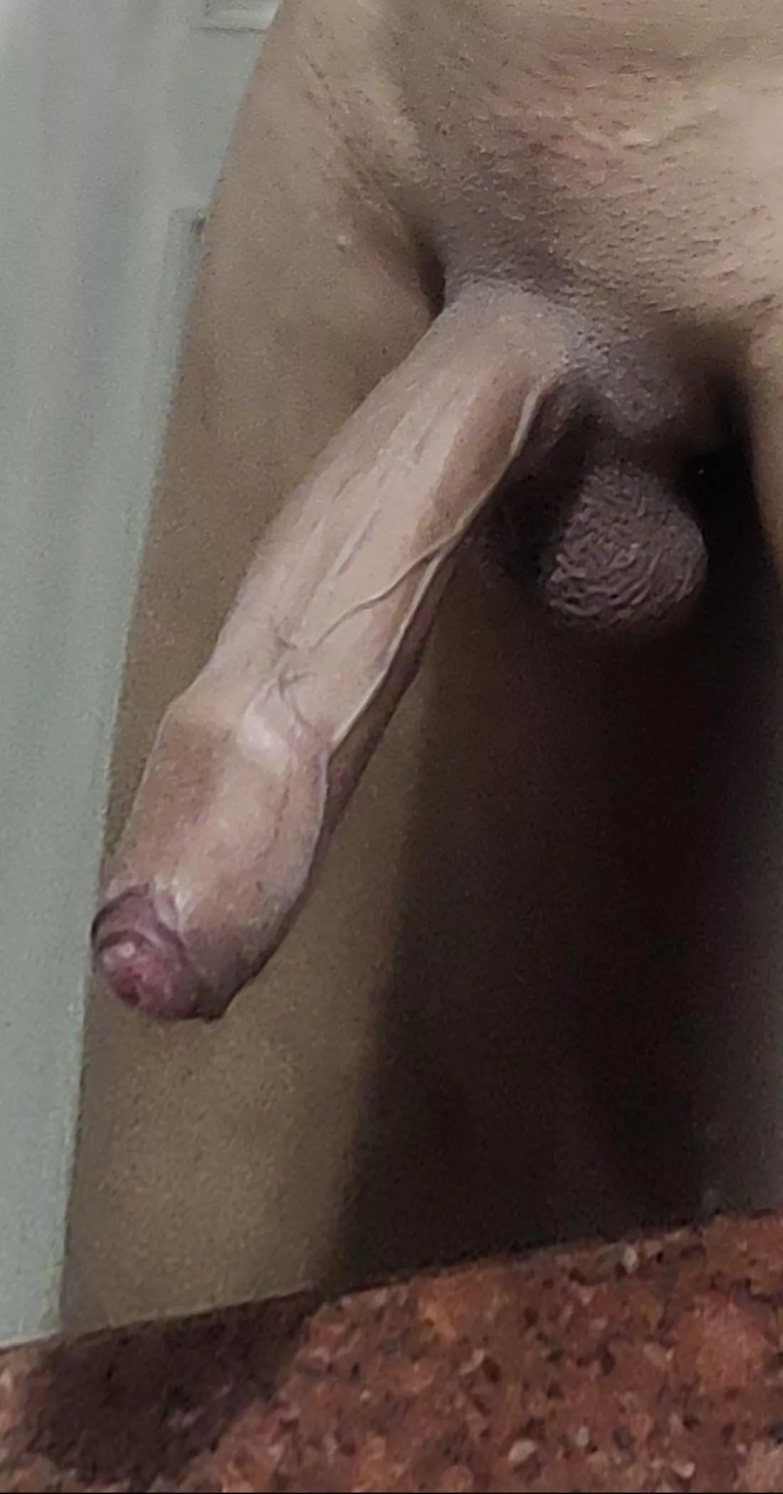 Semi-hard snake needs a hole to get hard and hibernate 😈