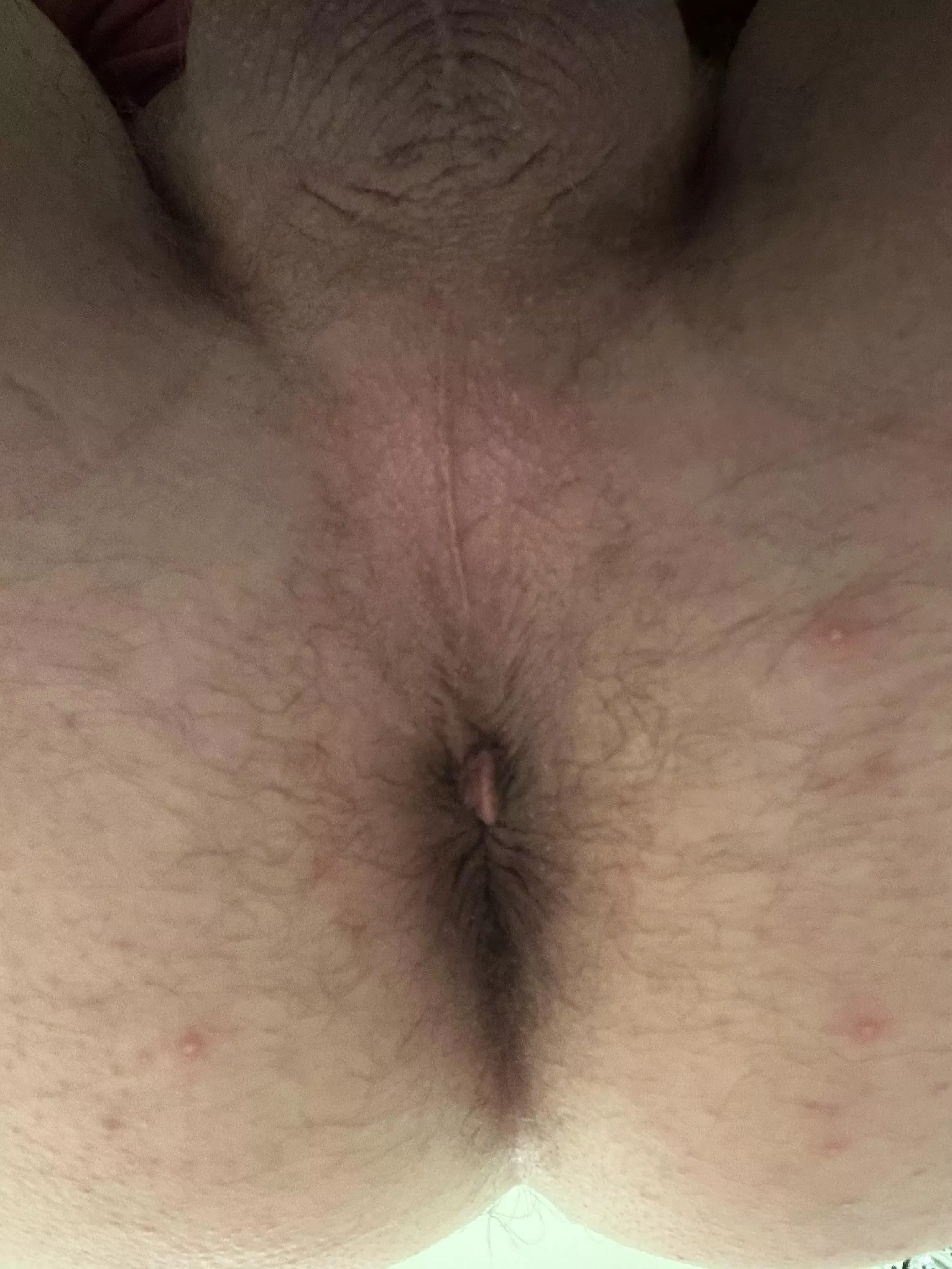 What would you do to it first?