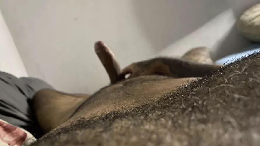 Would you like to help me cum jumping on me?