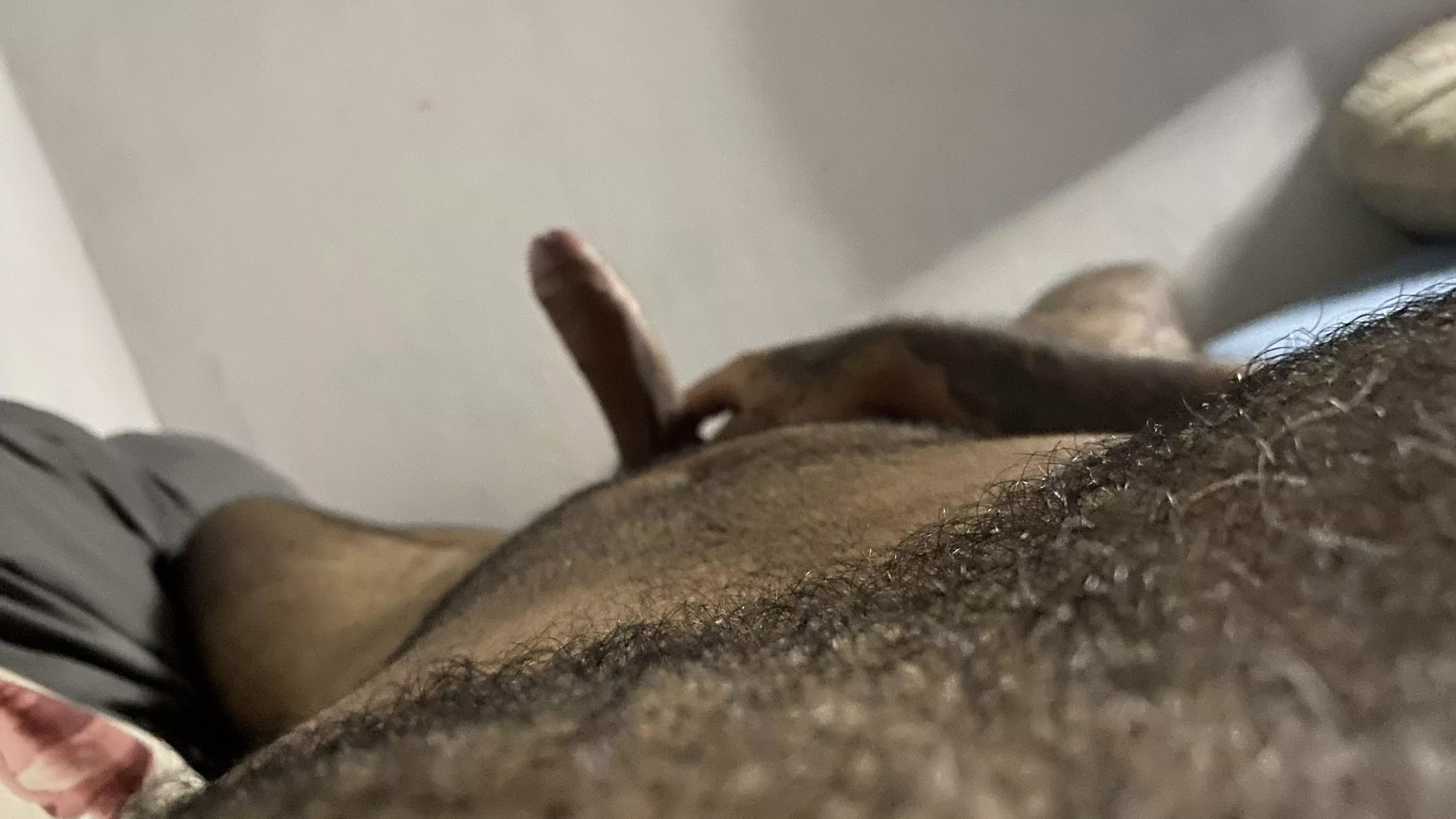 Would you like to help me cum jumping on me?