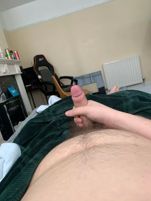 18m brum horny