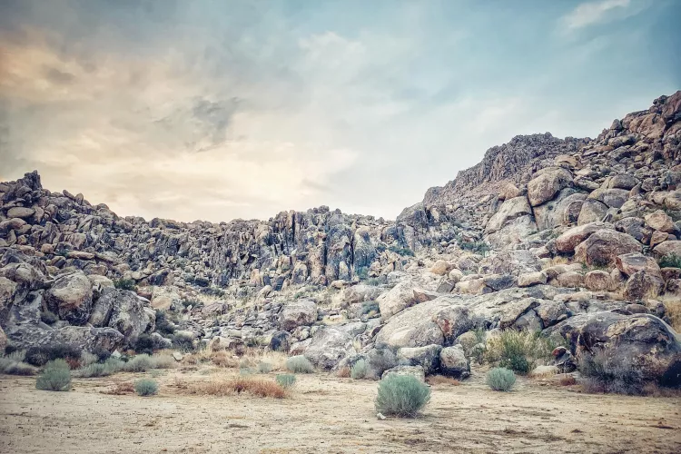 36/40 gay couple in SoCal for friends with similar interests/planning camping trip.