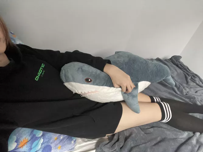 Blahaj helping me with bad mood