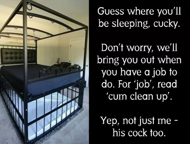 Cum clean-up on demand… 