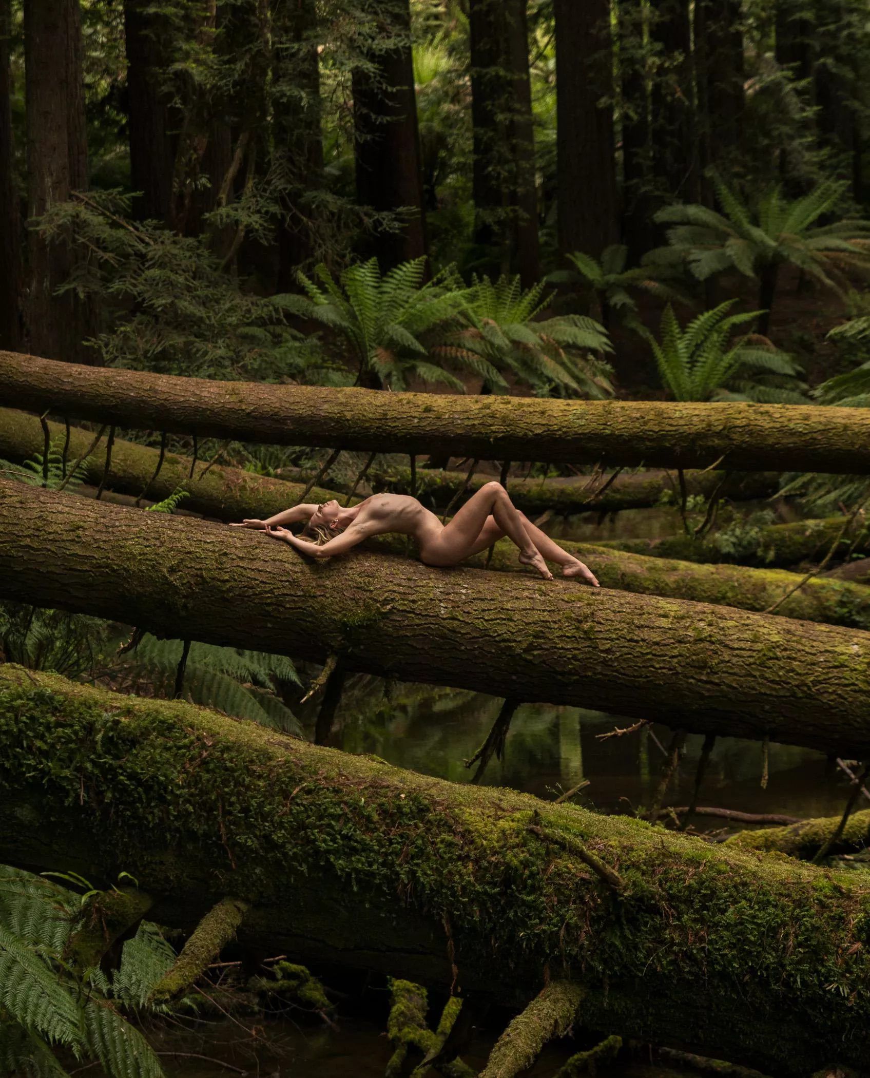 Forest fairy 🌿💚📷Damian Diviny 