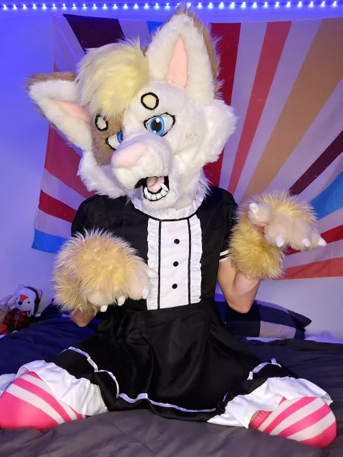 Funki Maid Cleaning - at your service :3