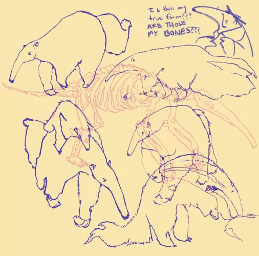 fursona’s honest reaction to my anteater animal study
