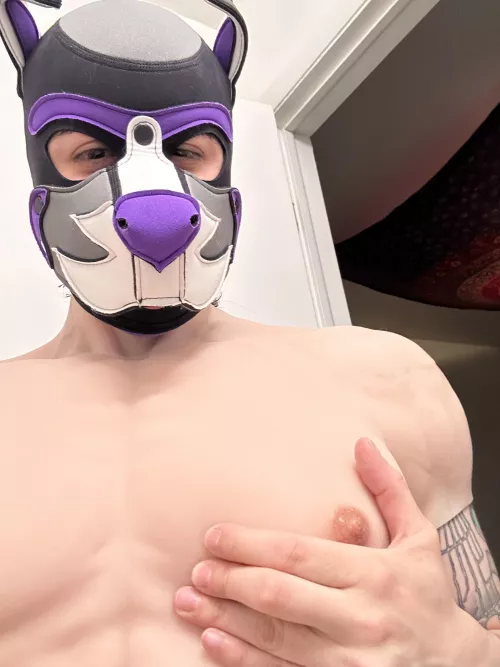 Himbo pups to the front please 