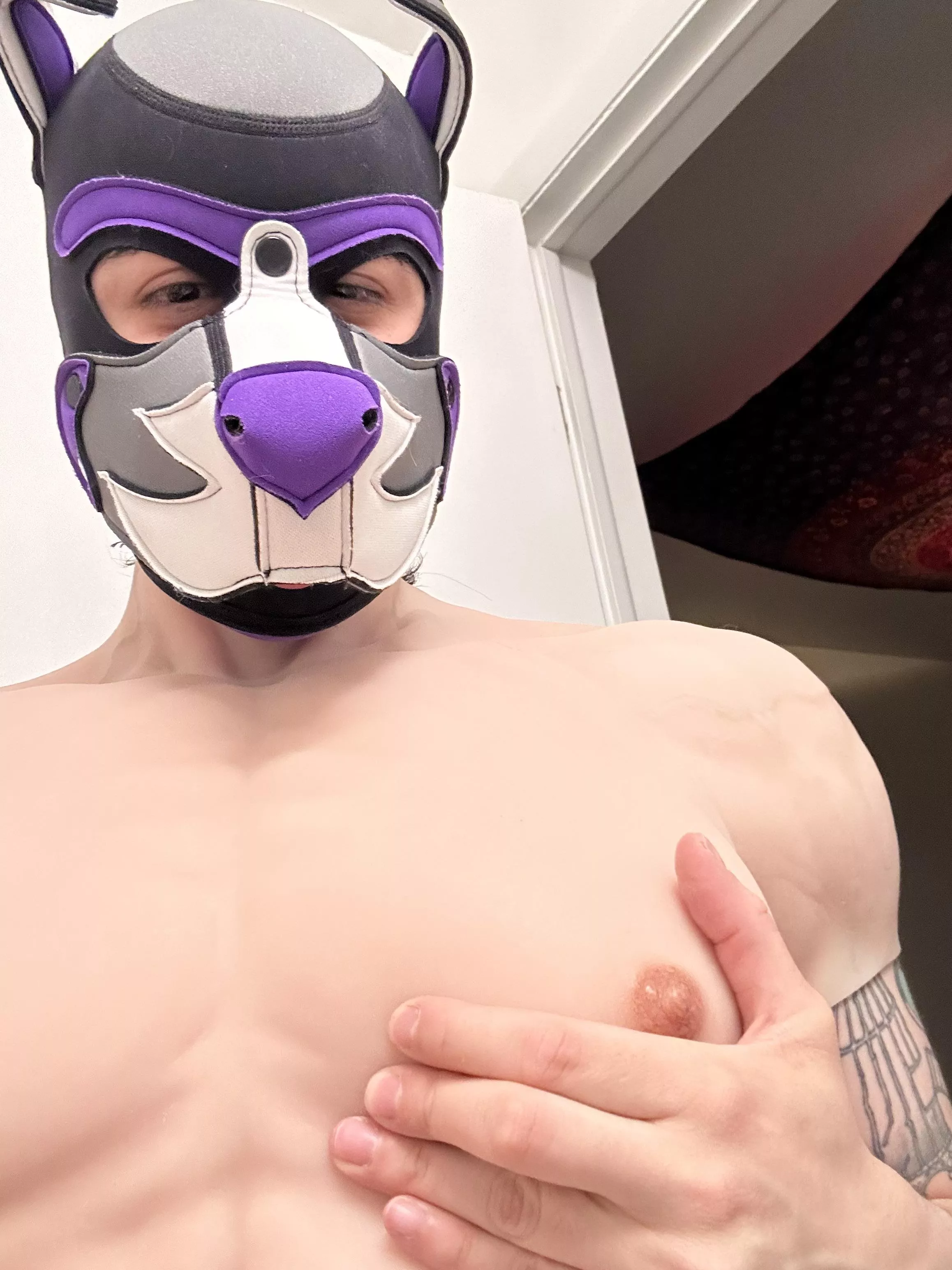 Himbo pups to the front please 