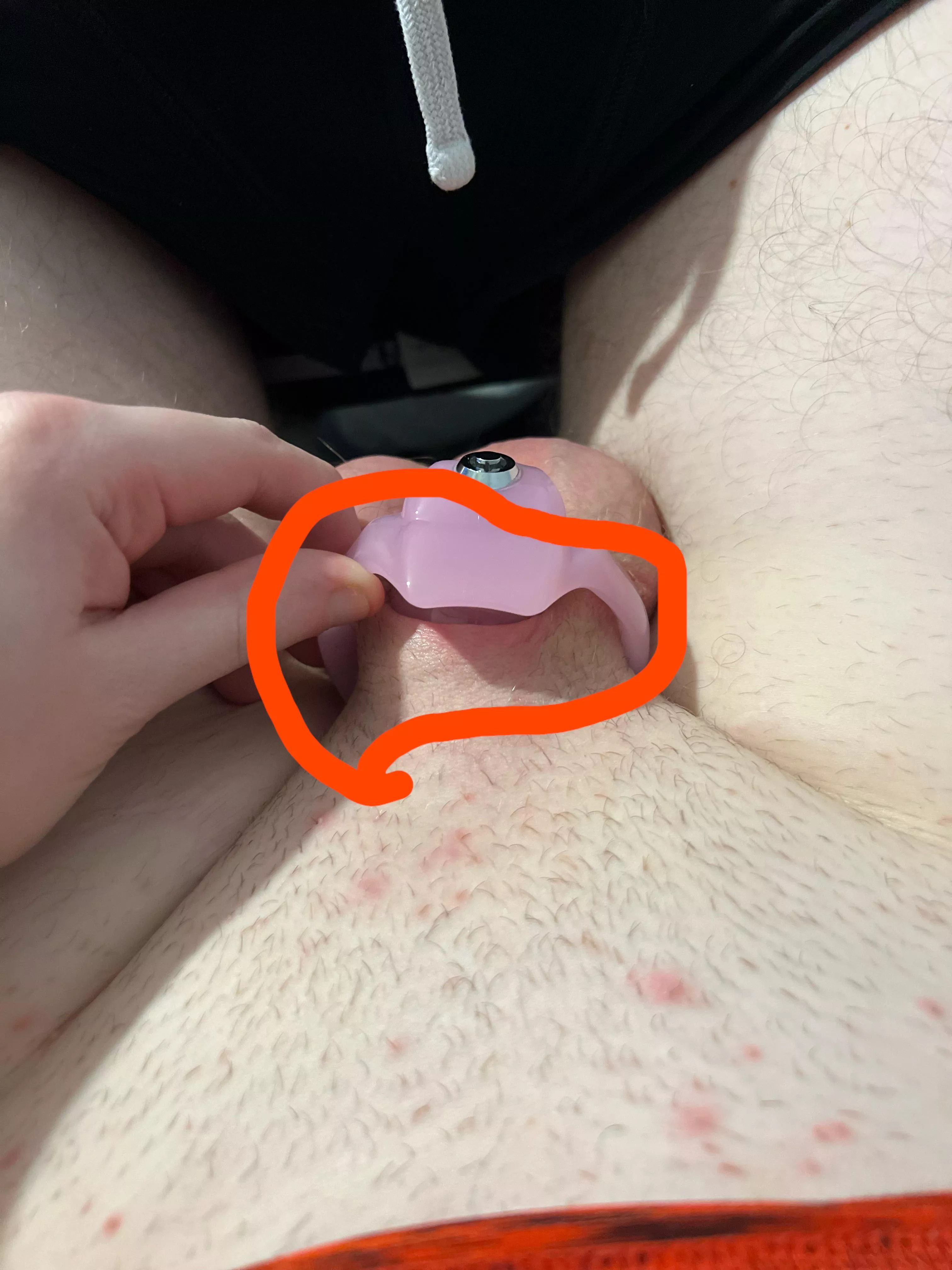 Holy Trainer v5 help?!