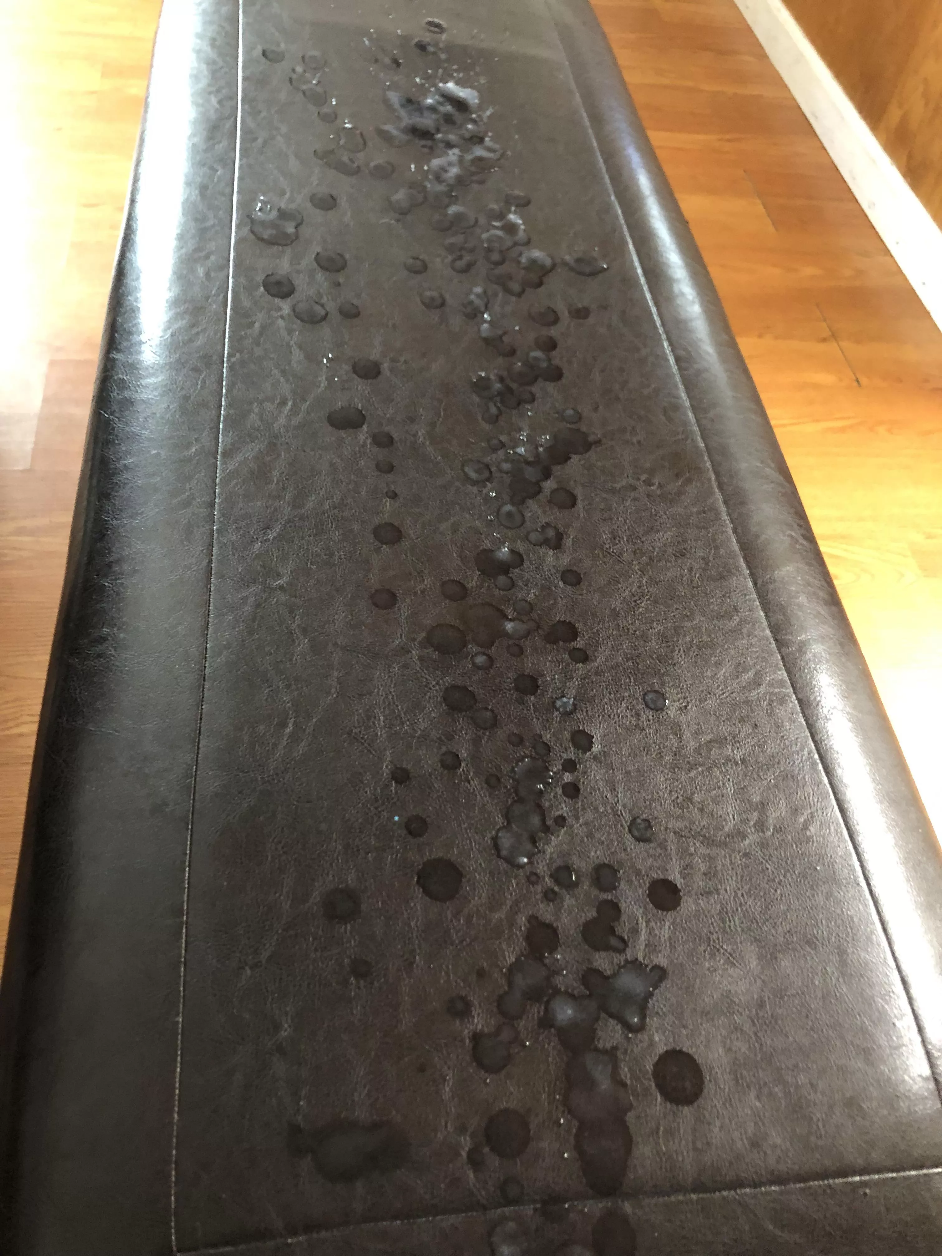 Hopefully that’s enough cum for you