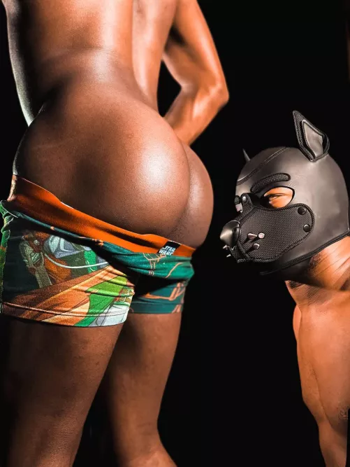 How do you pups feel about sniffing butts 🤔