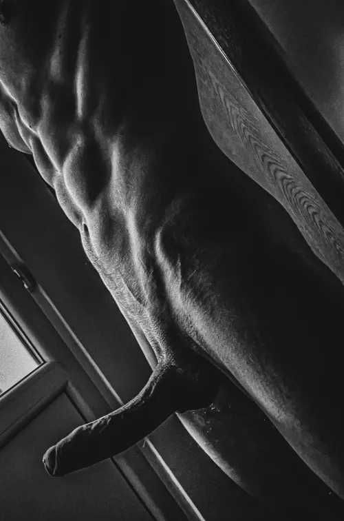 How many reps can we do[M]