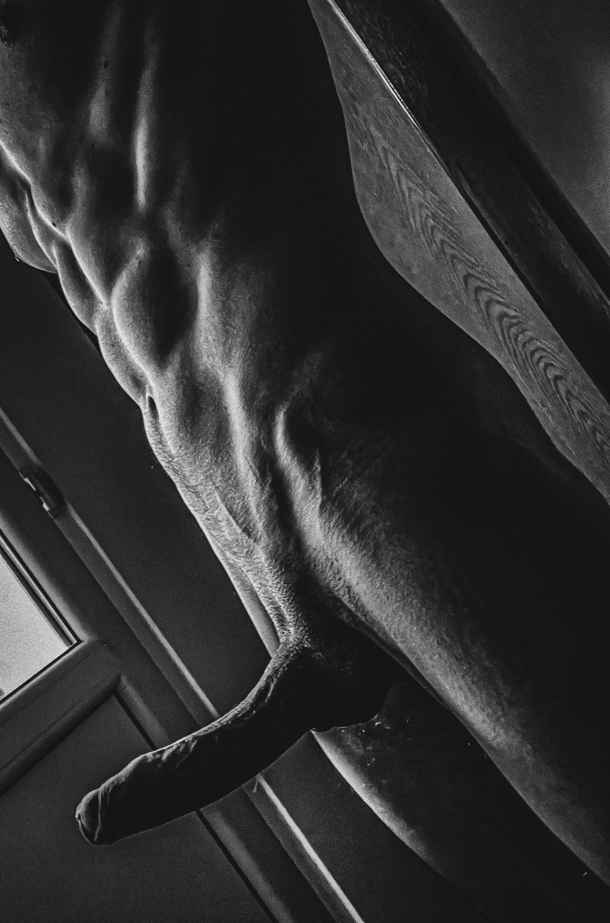 How many reps can we do[M]