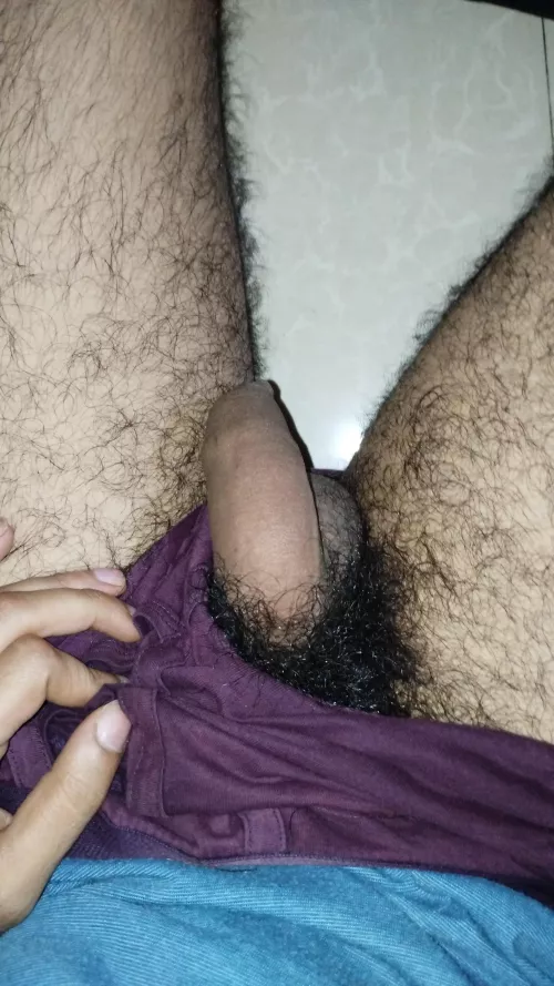 How'd you rate this softie