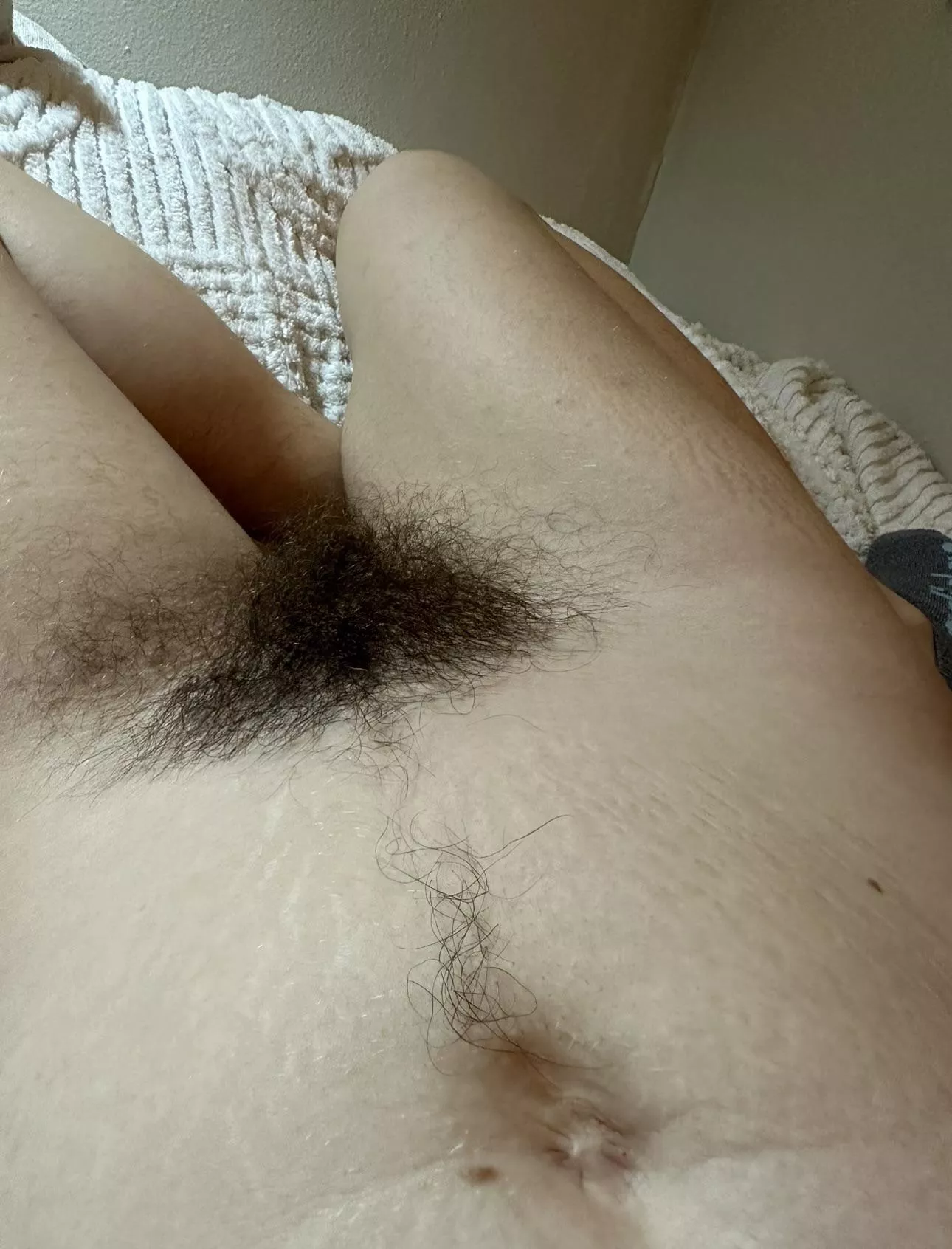 I’m proud to have grown such a big bush this year  