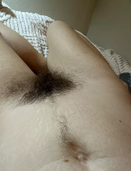 I’m proud to have grown such a big bush this year  