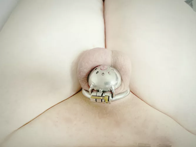 Is it cute enough yet?