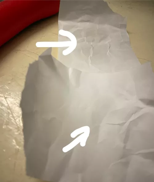 John Thomas Snake is leaking oily secretions