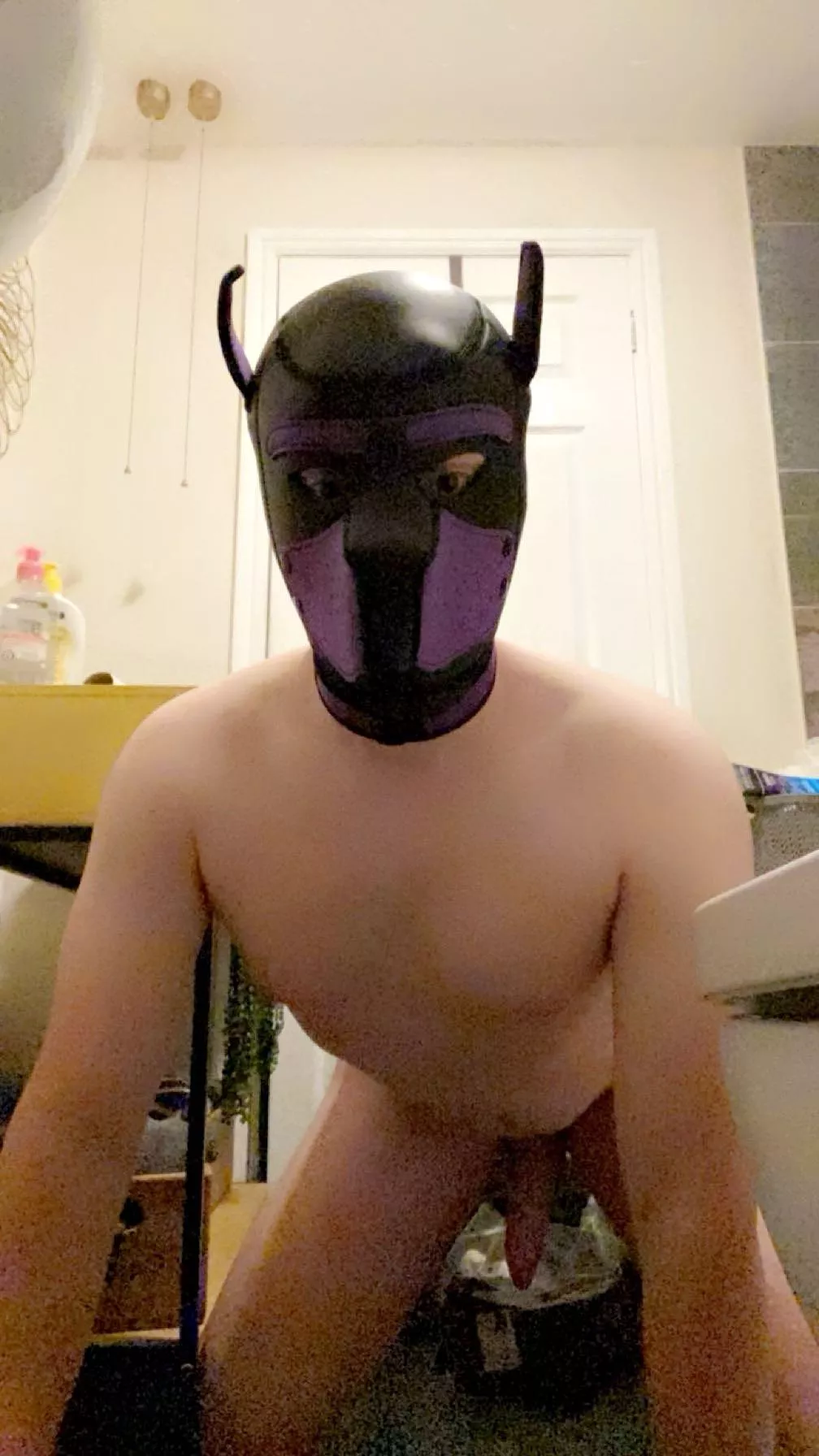 New Pup here 🙇🏻‍♂️