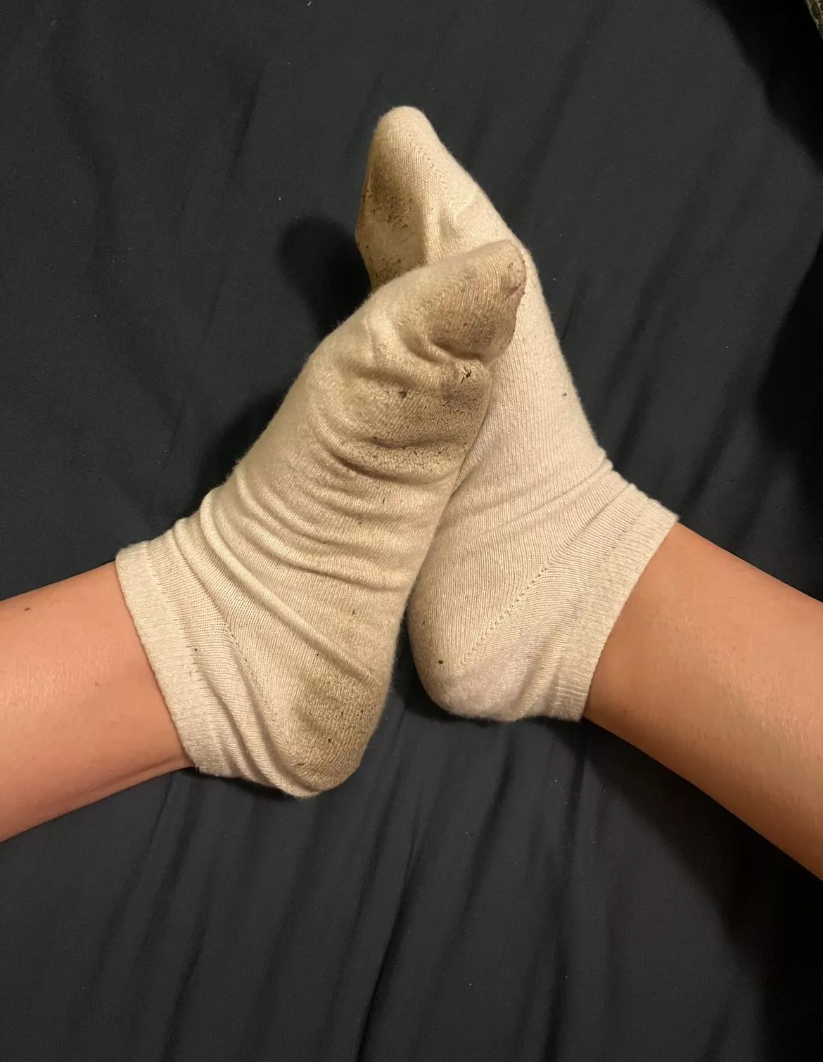 Selling my stinky socks