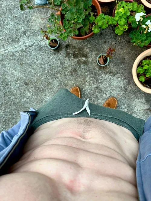 Spring has sprung in the south [36]