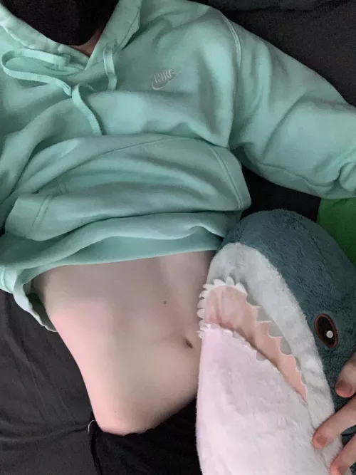 the blahaj returns!! :3