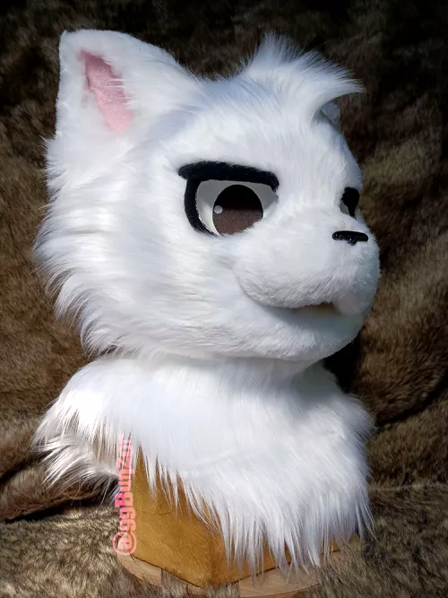 The IRL Boykisser (For Sale)