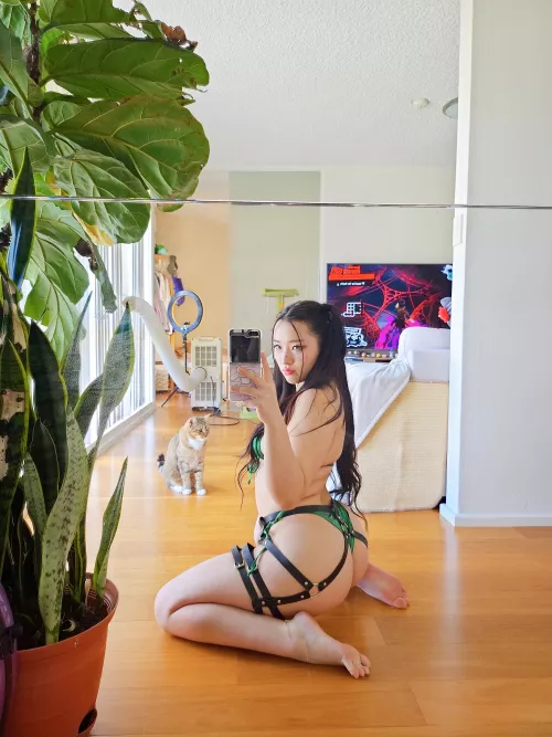 They say Koreans know how to ride 