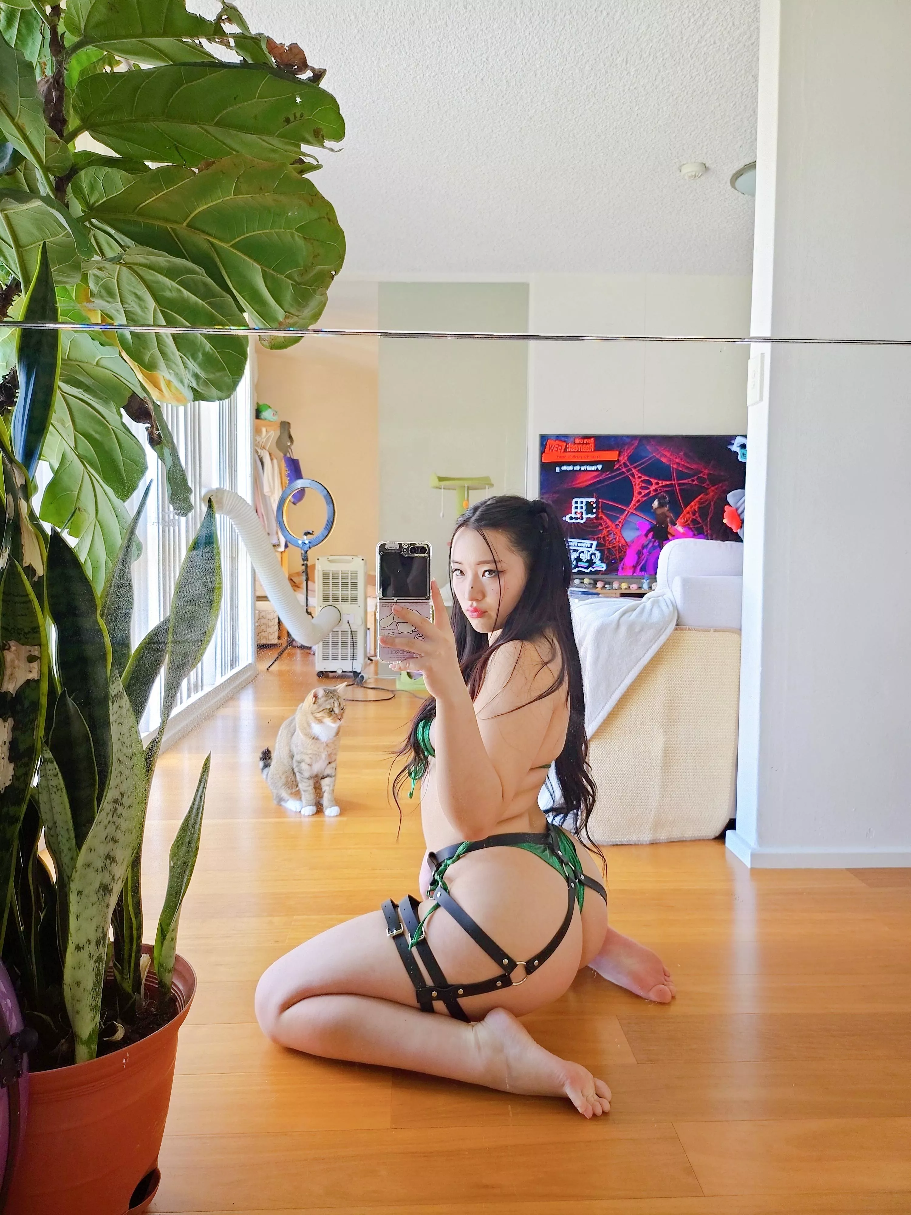 They say Koreans know how to ride 