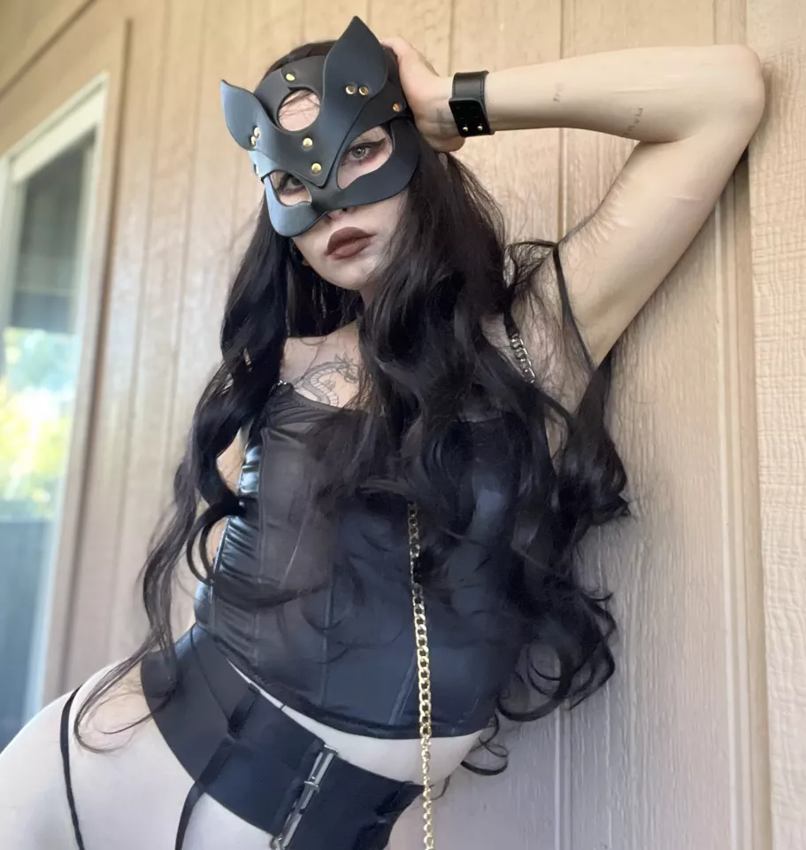 This kitty really wants to walk [F]