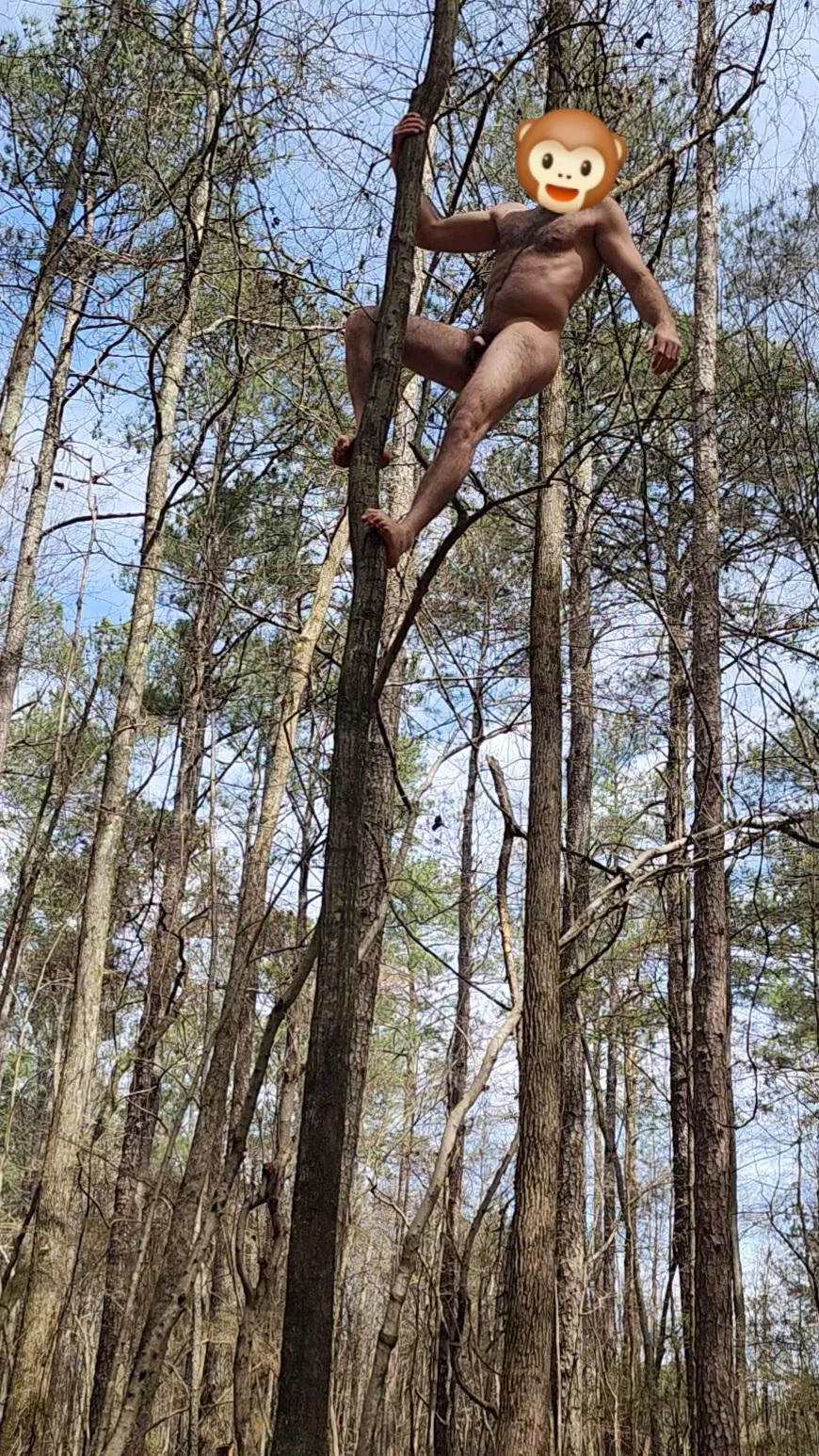 Unleashing my inner ape