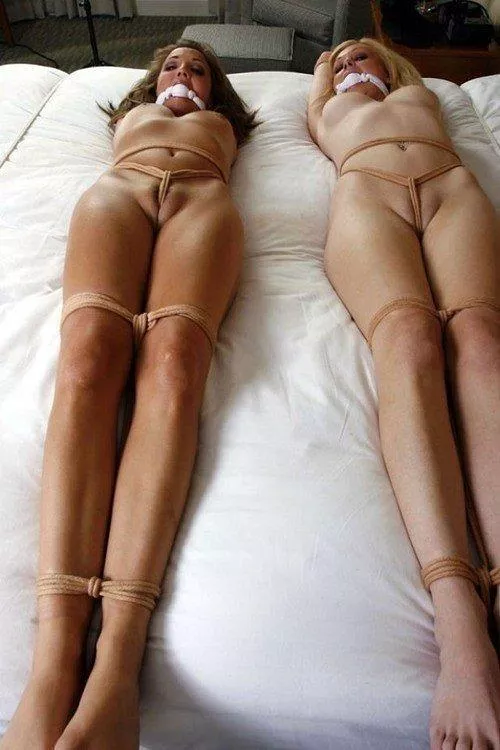 Whenever I see a picture like this I always wonder.... Were they captured together or separately???🤔