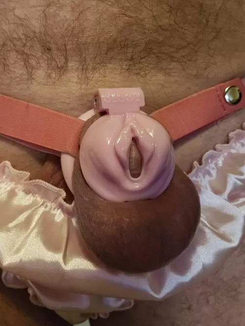 Who likes my new cage?!!?