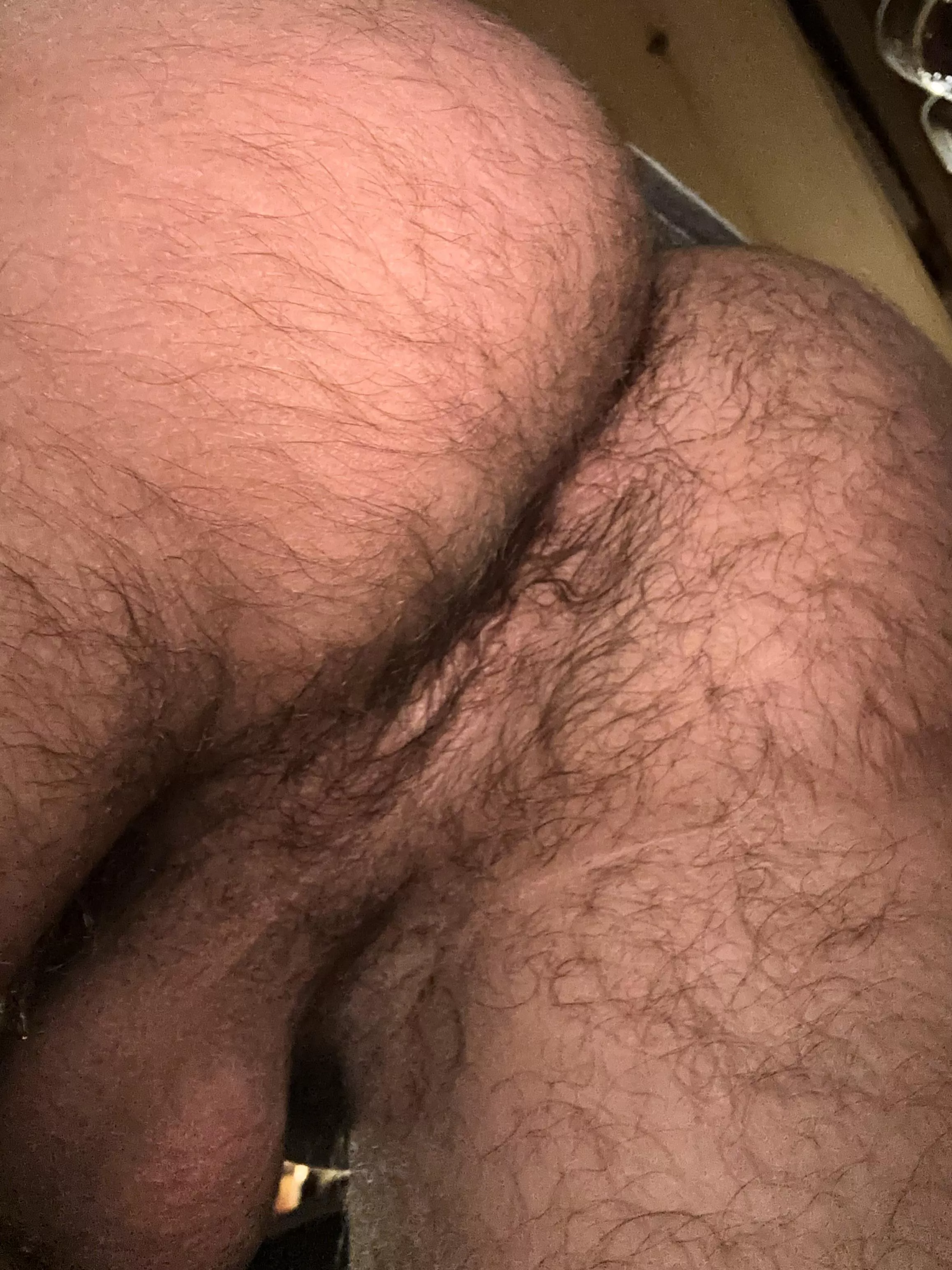 Would you bury your face bro?