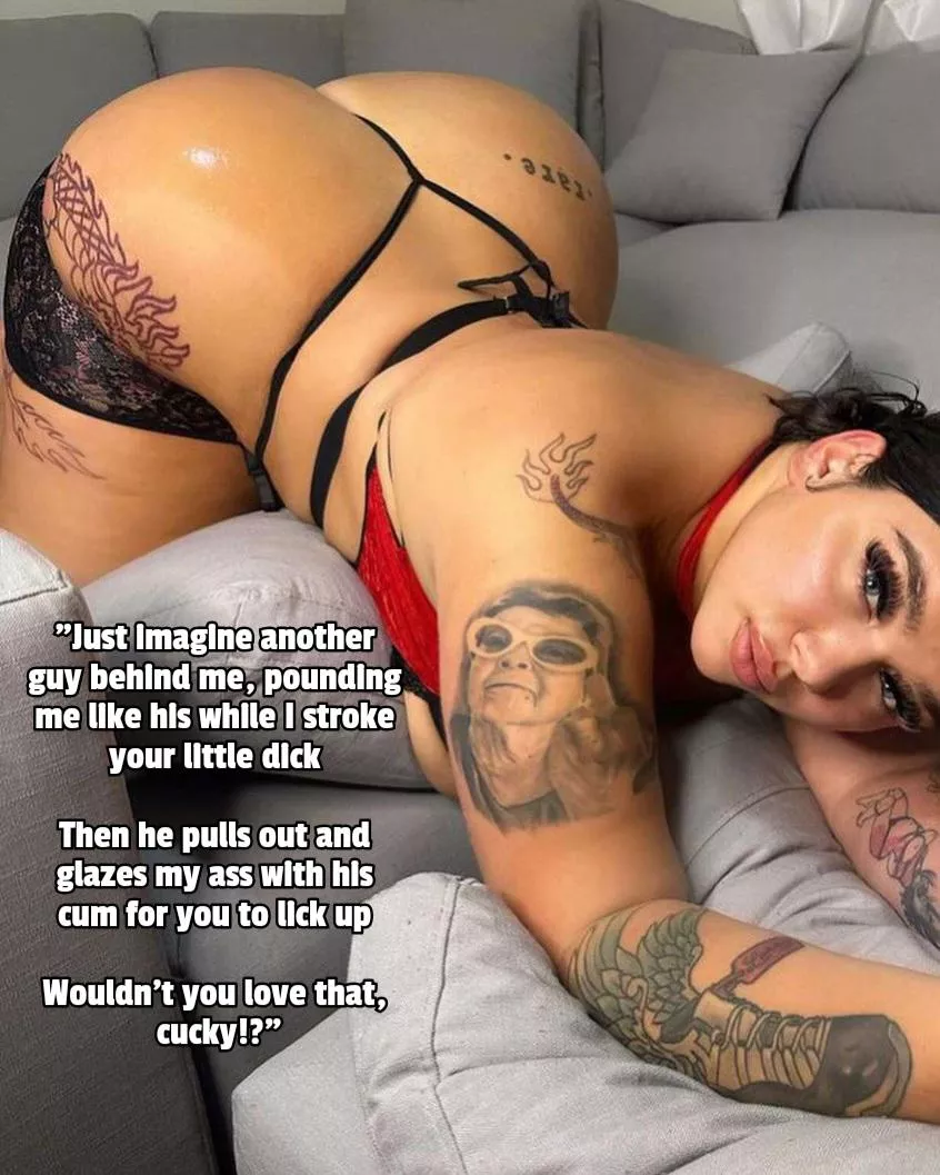 Wouldn't you love that, cucky?