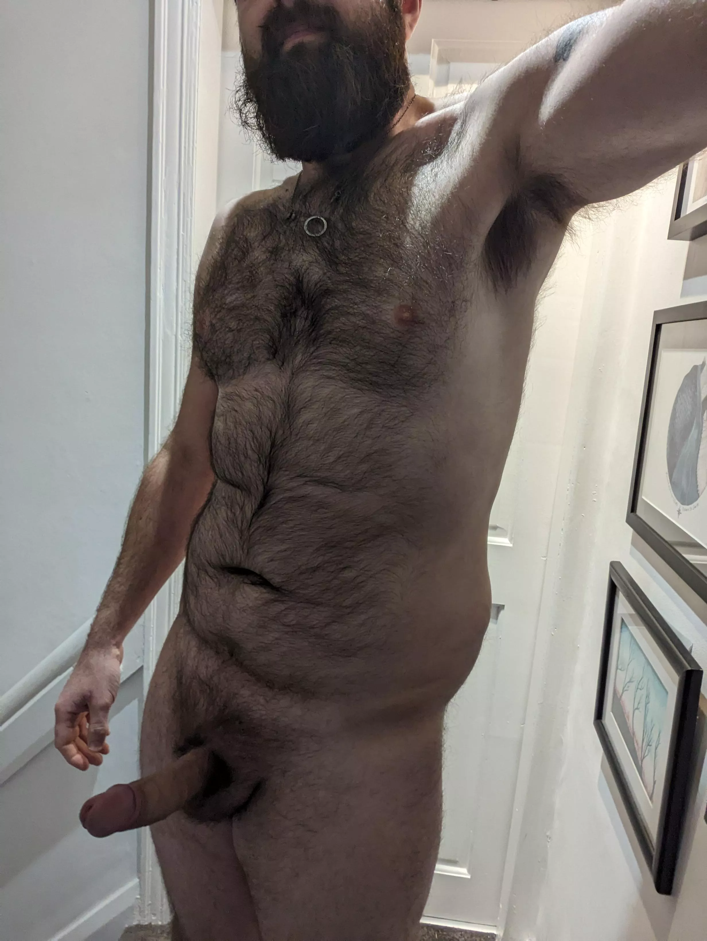 (39) lazy morning wood