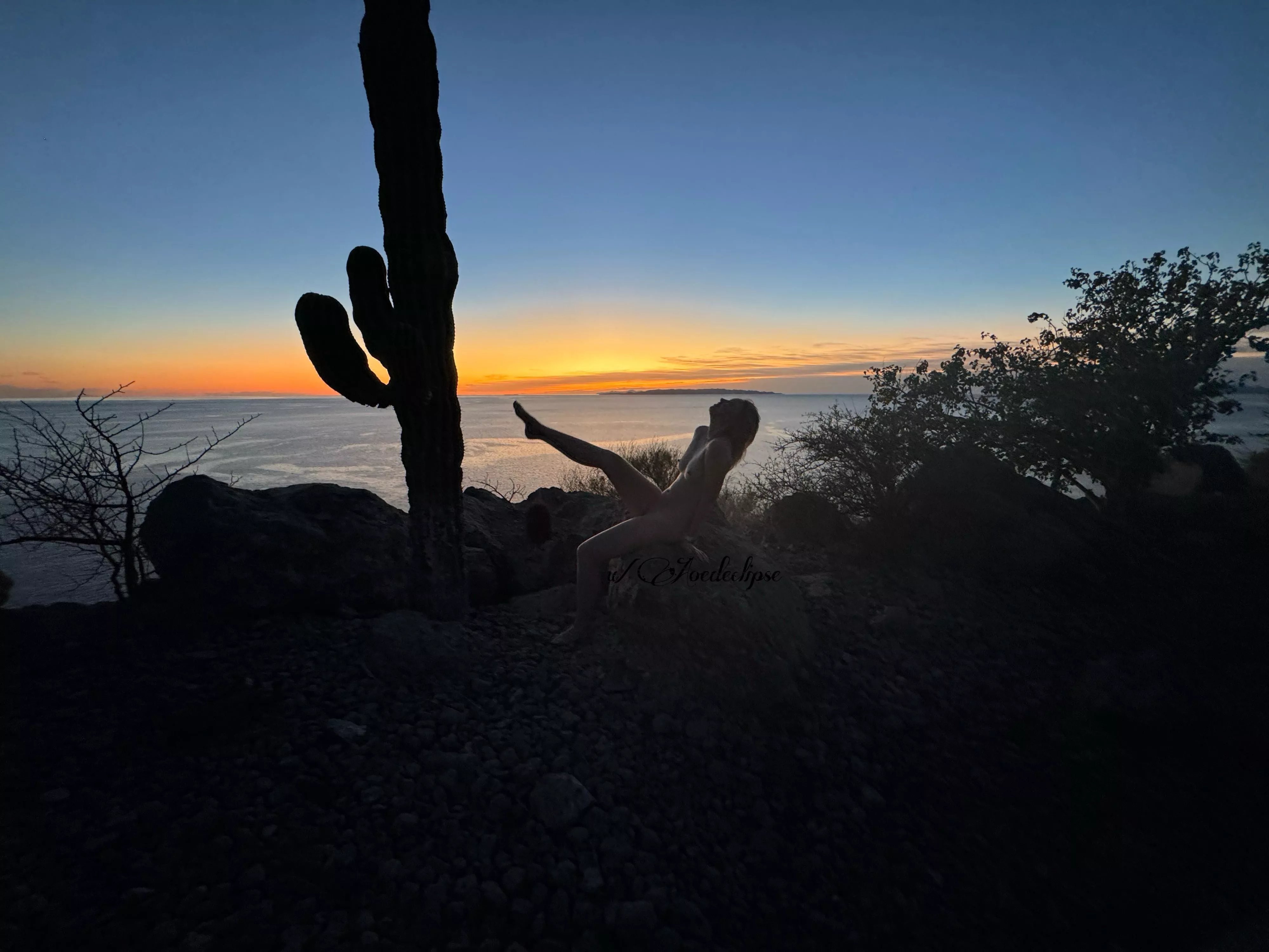 Attempting to strike a pose