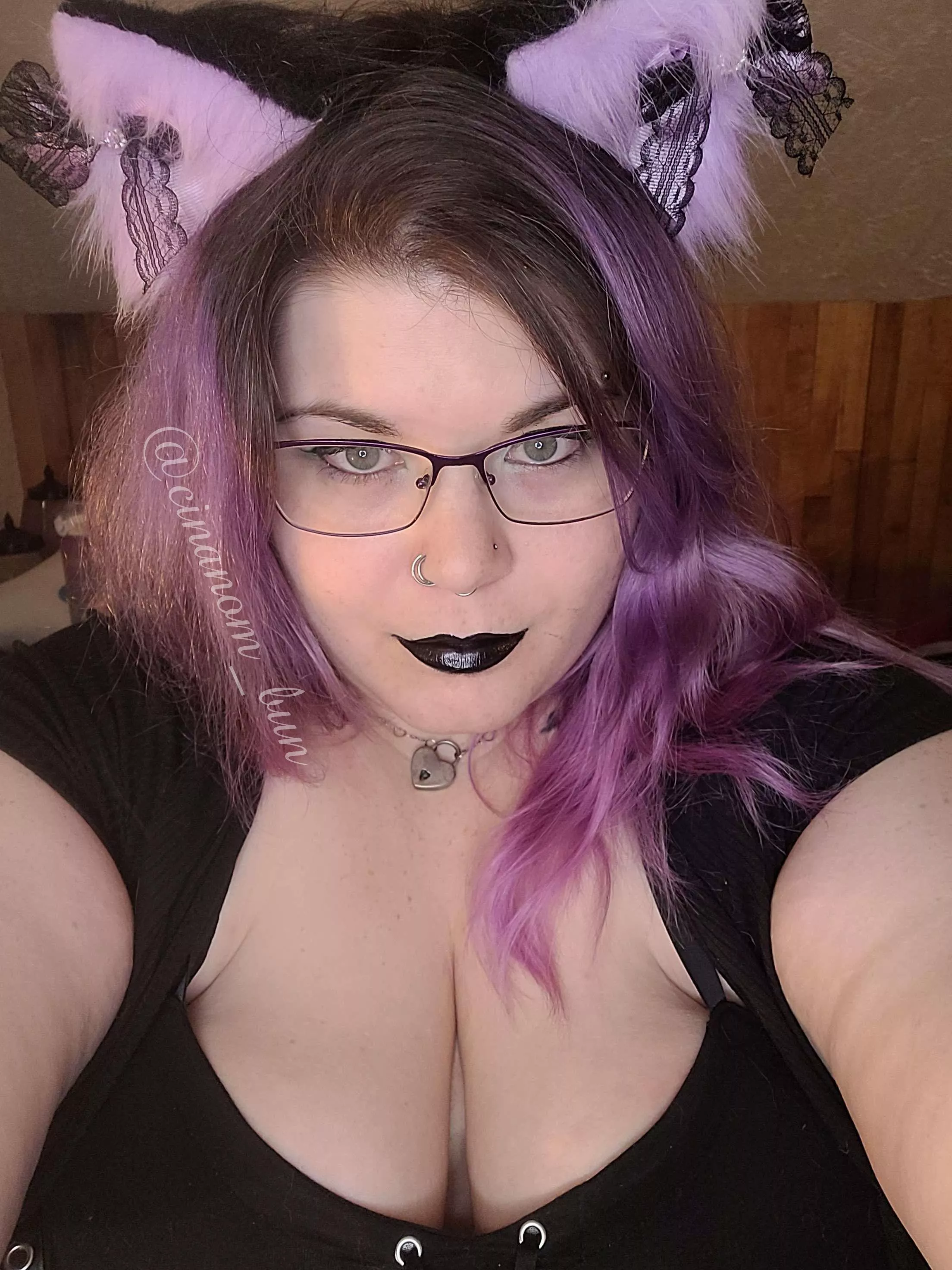 Collared and waiting for to be commanded