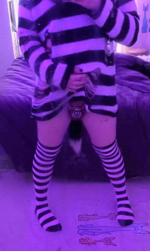 do you like my tail? >~< 