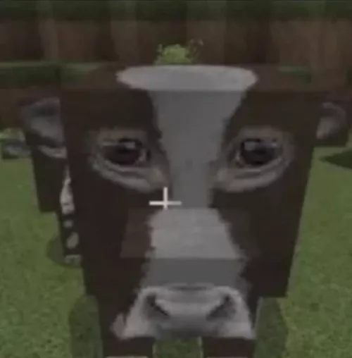 does anyone know the name of this texture? I only have this image