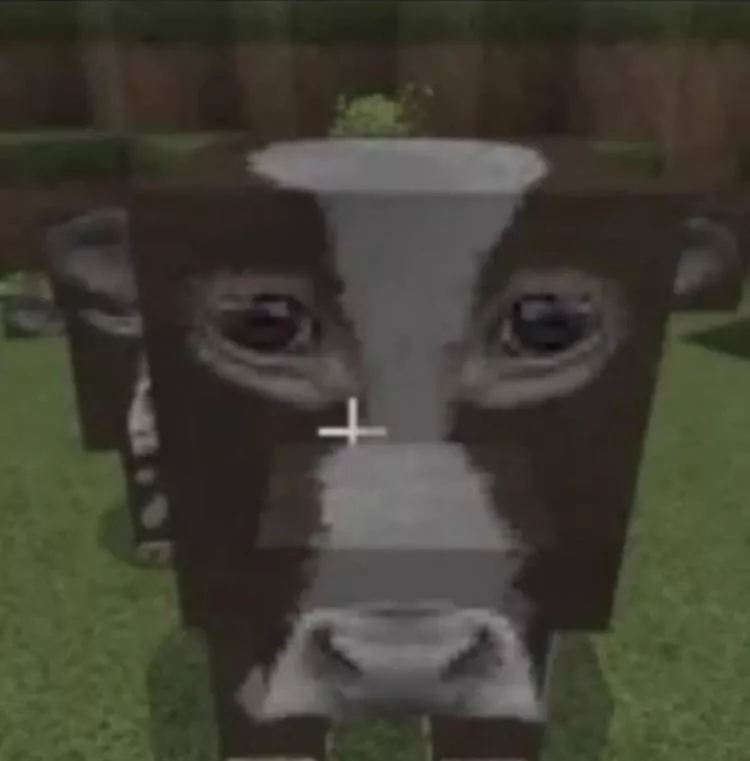 does anyone know the name of this texture? I only have this image