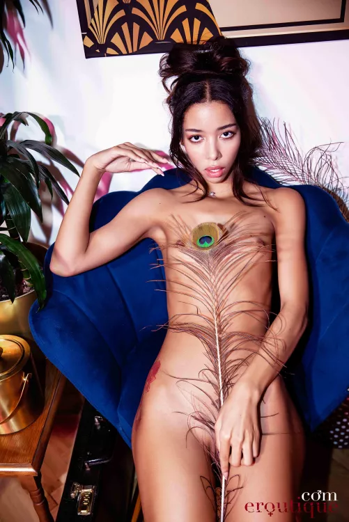 f e a t h e r... [OC[ by Pedro Saudek.