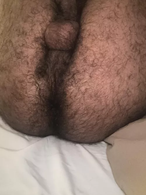 Hairy boicunt