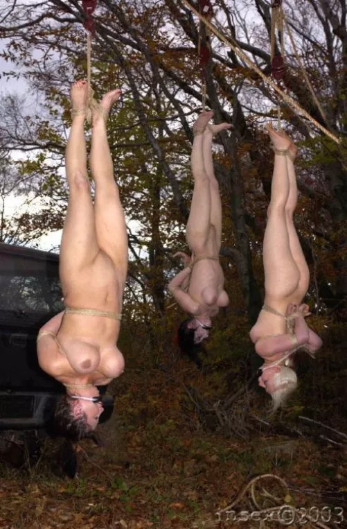 Insex was WILD back in the day....