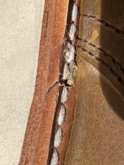 Is this welt a concern?