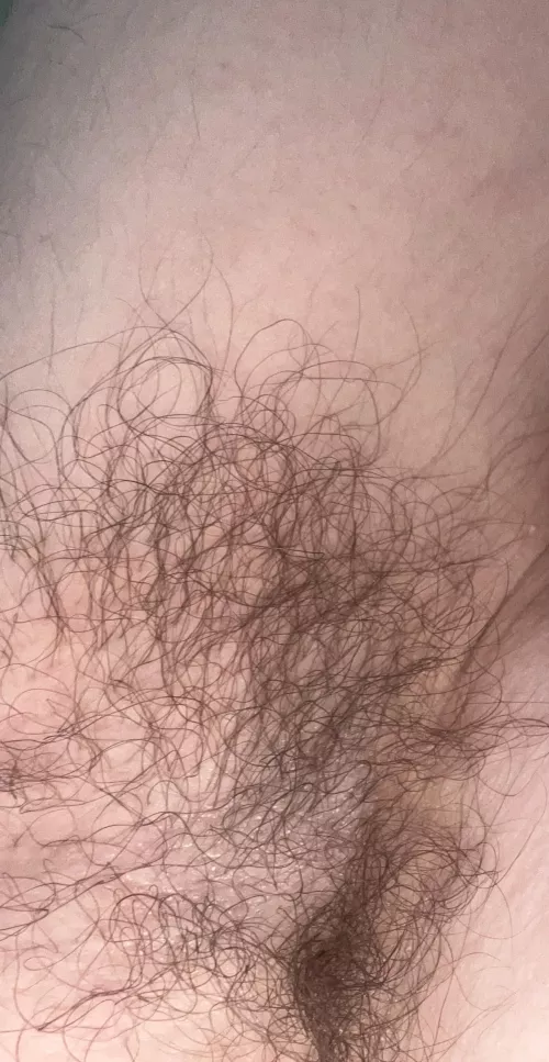 Like my pits?