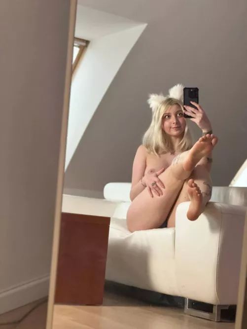 Lil cat getting ready for breeding