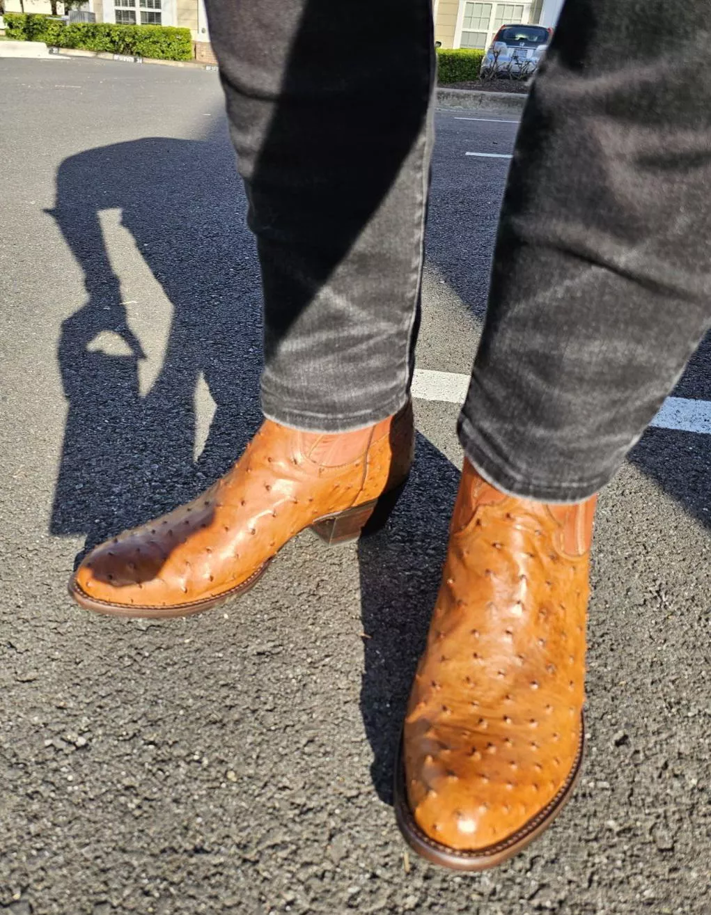 Lucchese Ostrich Leather
